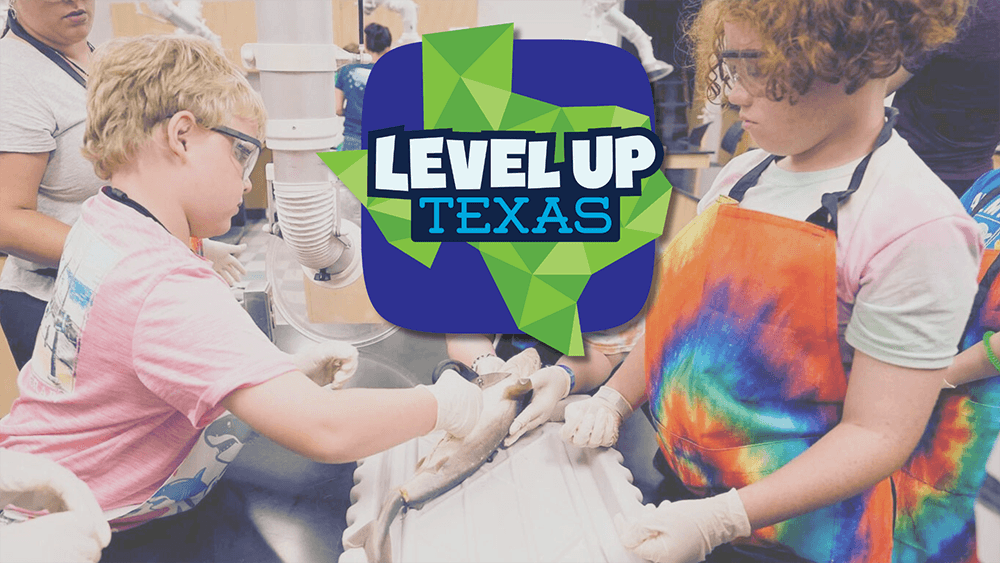 LevelUp Texas Logo over an image of children working in one of the Office of Youth Engagement programs